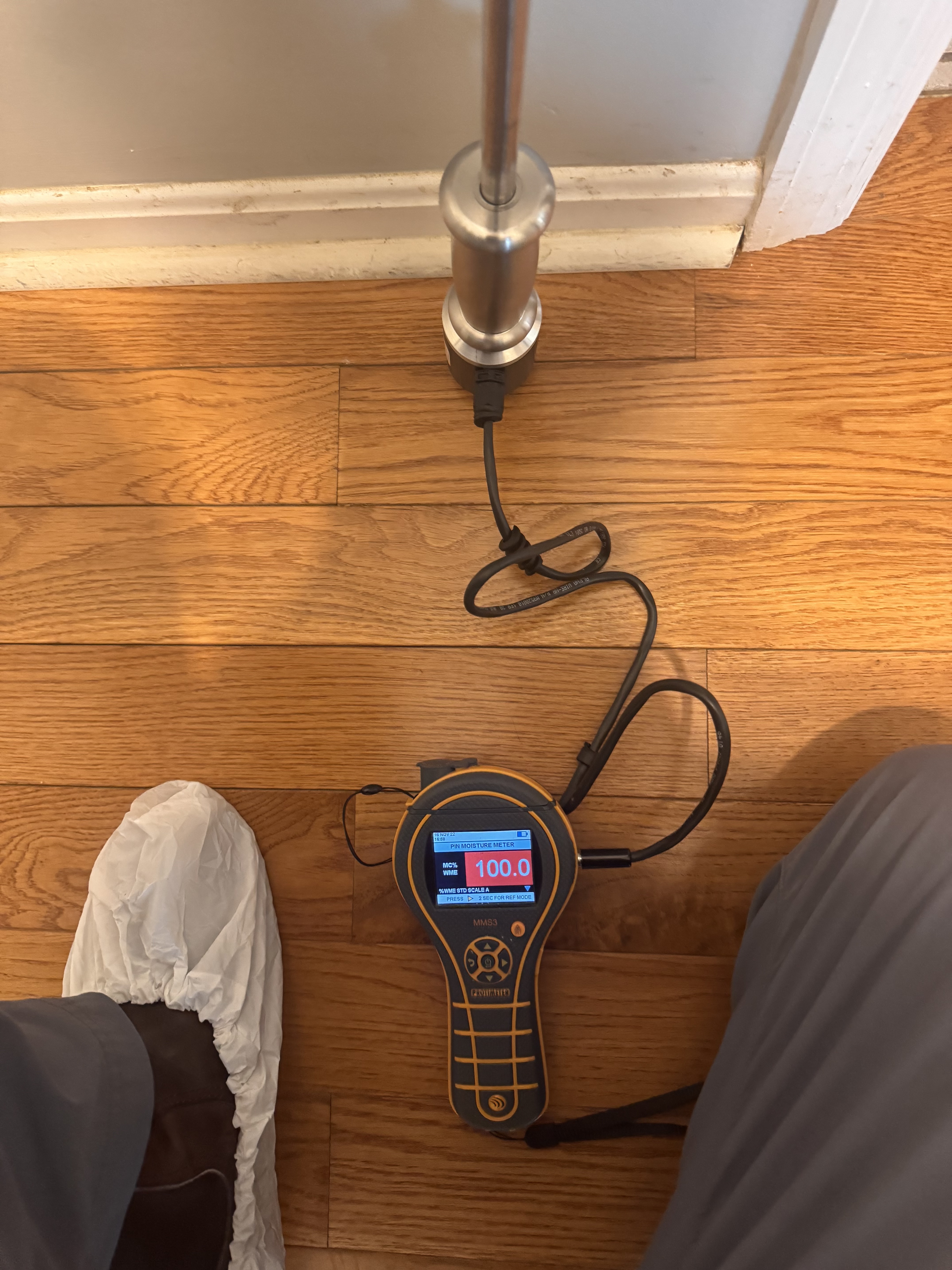 IRS technician using moisture meter to map water damage in a Lexington home
