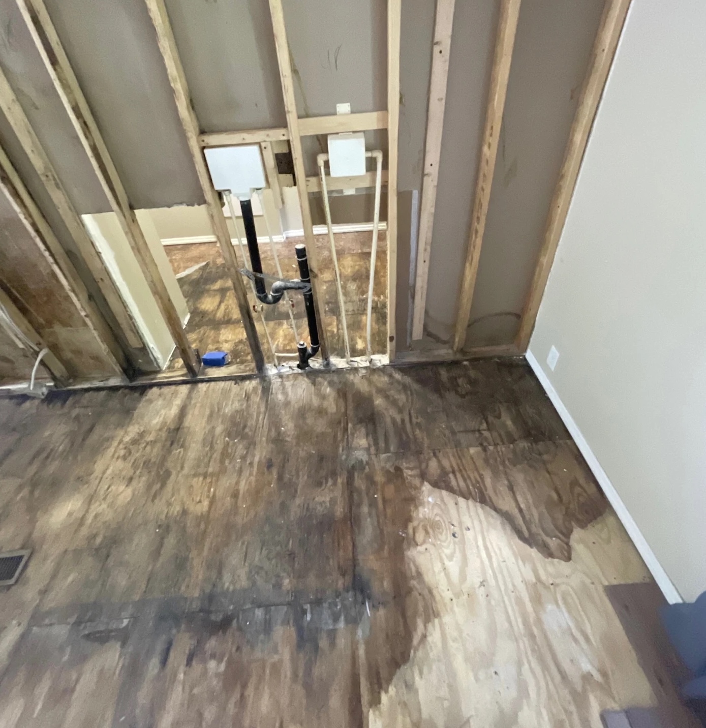 Exposed subfloor and wall studs after water damage extraction in Lexington