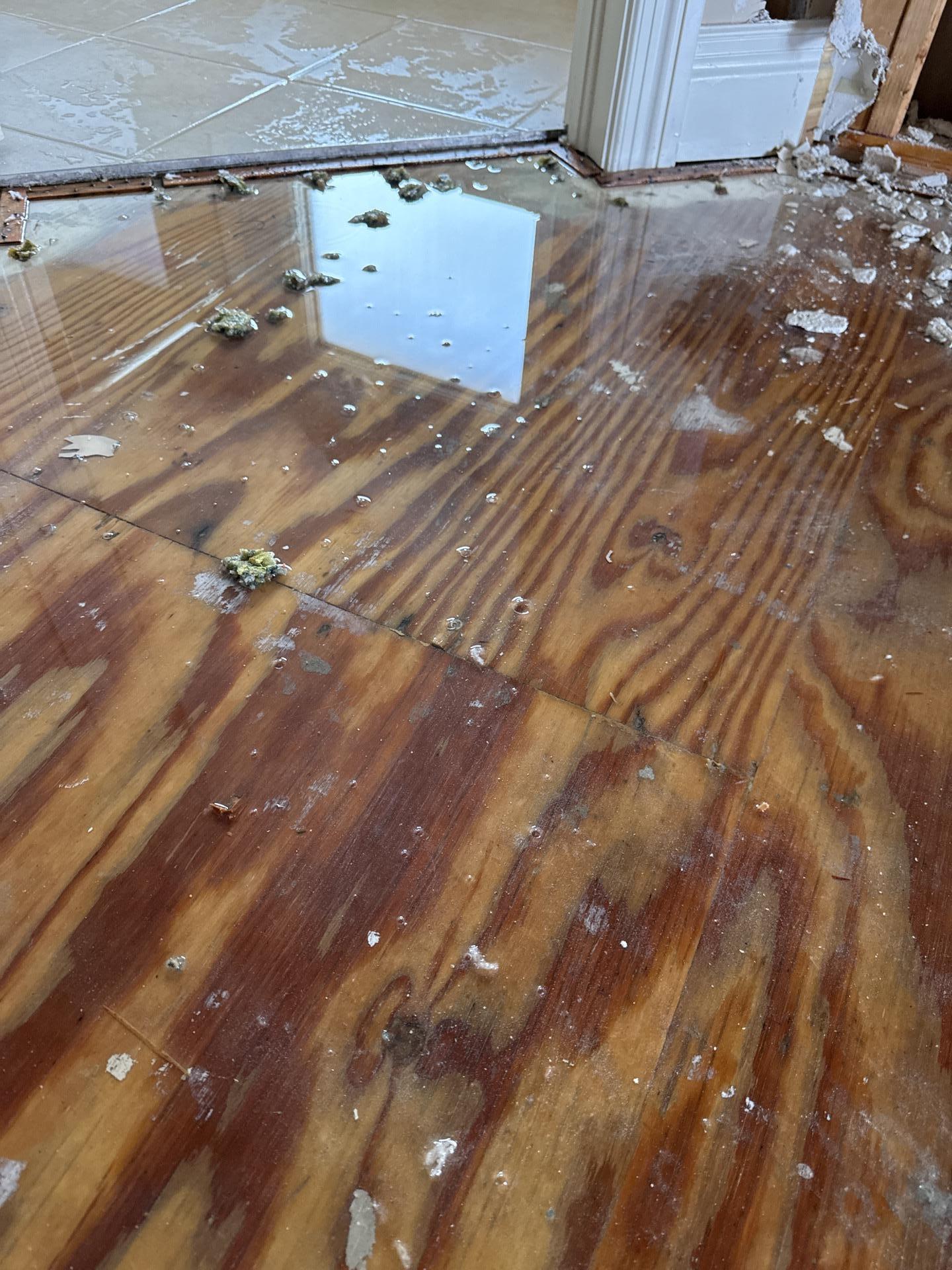 Standing water and damage on wood subfloor from storm intrusion in Lexington