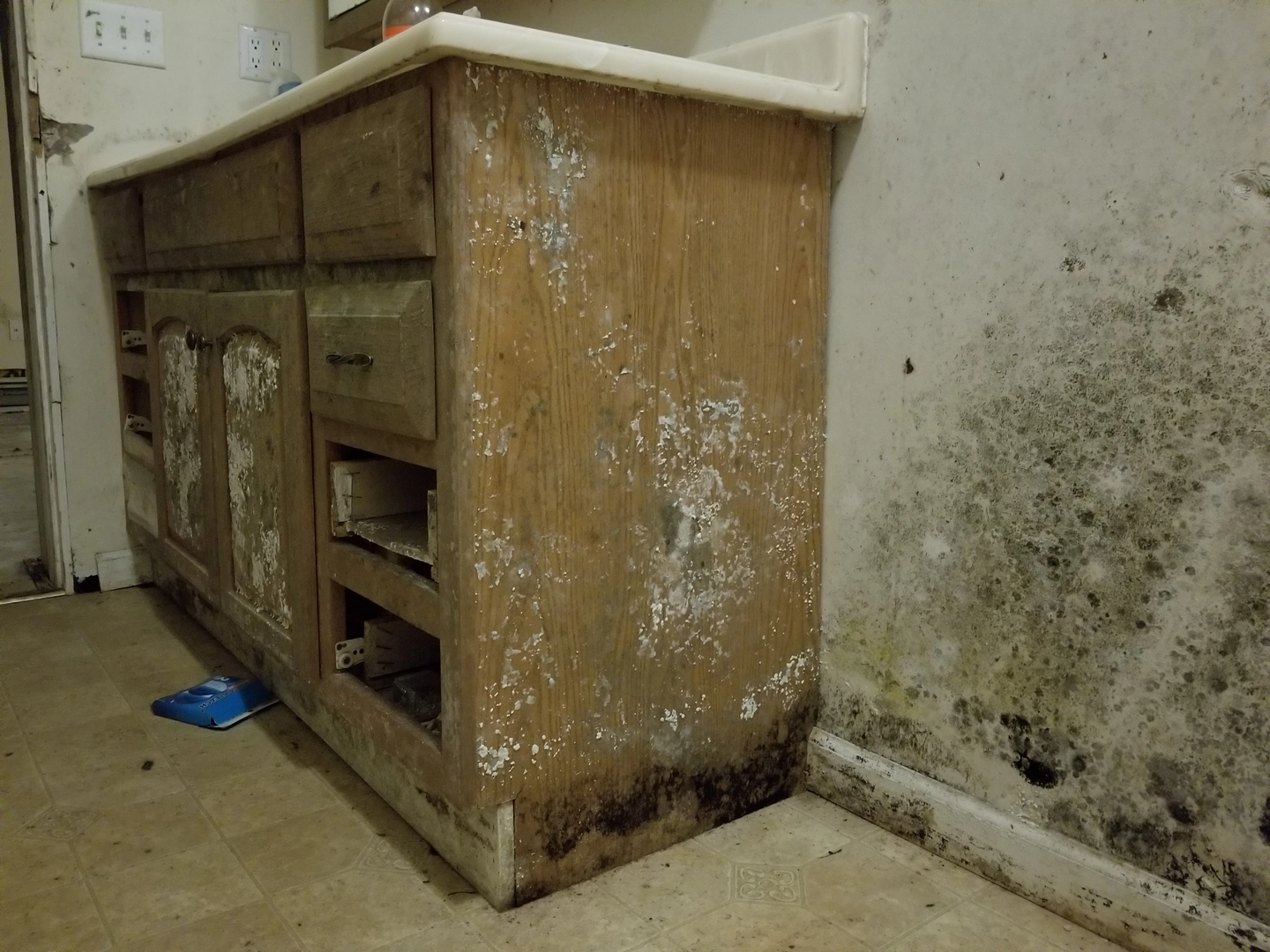 Extensive mold growth on kitchen cabinet and wall in a Lexington home