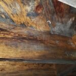 This image shows significant mold growth in crawlspace - Independent Restoration Services - Built On Service - Steps to mold removal.